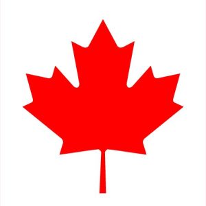 Canada Travel Visa Services