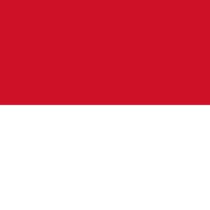 Indonesia Visa Assistance